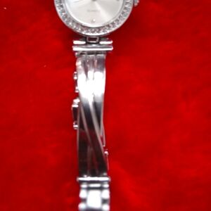 Quartz  Skagen watch